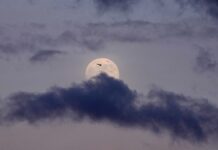 NASA Mempersiapkan Misi Bersejarah Artemis II ke Bulan untuk Peluncuran