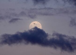 NASA przygotowuje do startu historyczną misję Artemis II