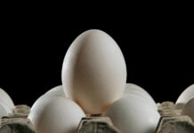 Продуктові Магазини – Ключ до Яйців від Куриць Вільного Вигулу у США