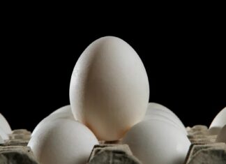 I negozi di alimentari sono la chiave per le uova senza gabbie negli Stati Uniti