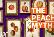 Конструйована ідентичність Джорджії: За межею міфу про “Персиковий штат”