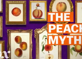 Identitas Georgia yang Dibangun: Melampaui Mitos “Negara Persik”.