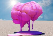 La desconexión de Silicon Valley: por qué los gigantes tecnológicos están perdiendo contacto con la realidad