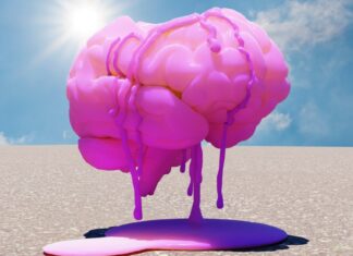 La disconnessione della Silicon Valley: perché i giganti della tecnologia stanno perdendo il contatto con la realtà