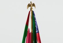 Більше ніж нафта та безпека: чому партнерству США та ОАЕ потрібна нова структура