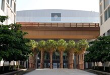 AI znovu objevuje základní principy fyziky z nezpracovaných dat