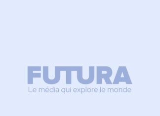 The AFNOR: How France’s Norms Body Shapes Global Tech and Trade